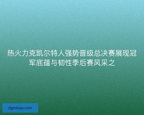 热火力克凯尔特人强势晋级总决赛展现冠军底蕴与韧性季后赛风采之