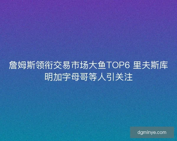 詹姆斯领衔交易市场大鱼TOP6 里夫斯库明加字母哥等人引关注